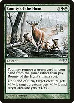 Bounty of the Hunt
