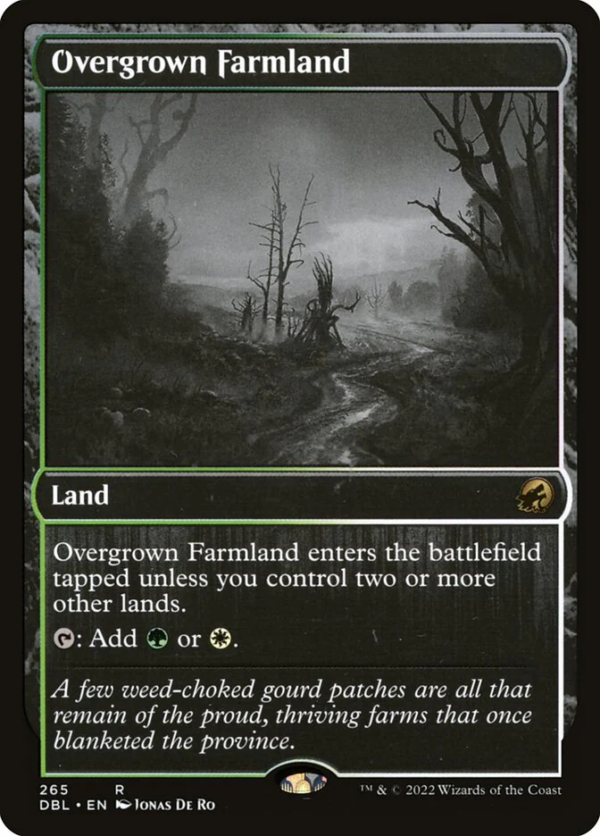 Overgrown Farmland