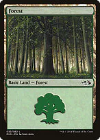 Forest
