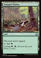 Tranquil Thicket