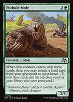 Pothole Mole