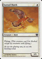 Suntail Hawk