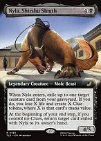 Nyla, Shirshu Sleuth