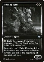 Fleeting Spirit