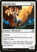 Splendor Mare