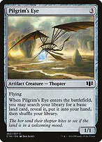Pilgrim's Eye