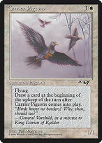 Carrier Pigeons