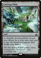 Evolving Wilds