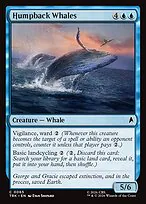 Humpback Whales