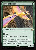 Birds of Paradise