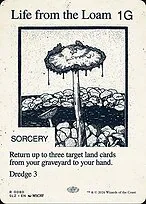 Life from the Loam