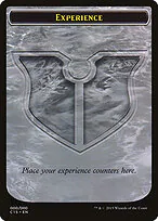 Experience