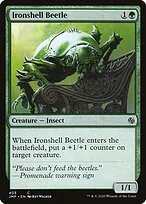 Ironshell Beetle