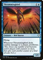 Thrummingbird