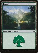Forest