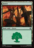 Forest