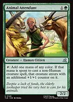 Animal Attendant
