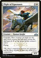 Flight of Equenauts