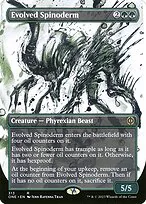 Evolved Spinoderm