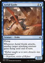 Aerial Guide