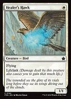 Healer's Hawk