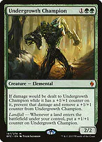 Undergrowth Champion