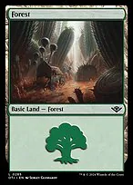 Forest
