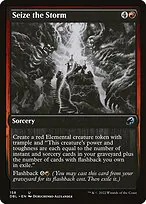 Seize the Storm