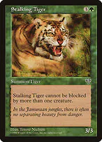 Stalking Tiger