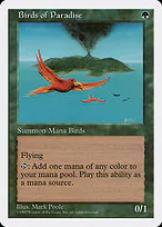Birds of Paradise