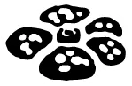 Jungle logo