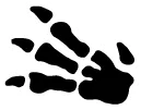 Fossil logo