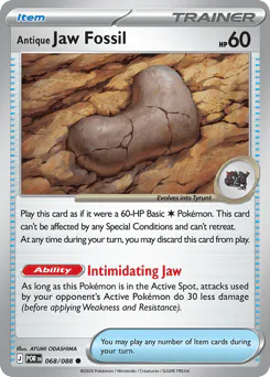 Antique Jaw Fossil