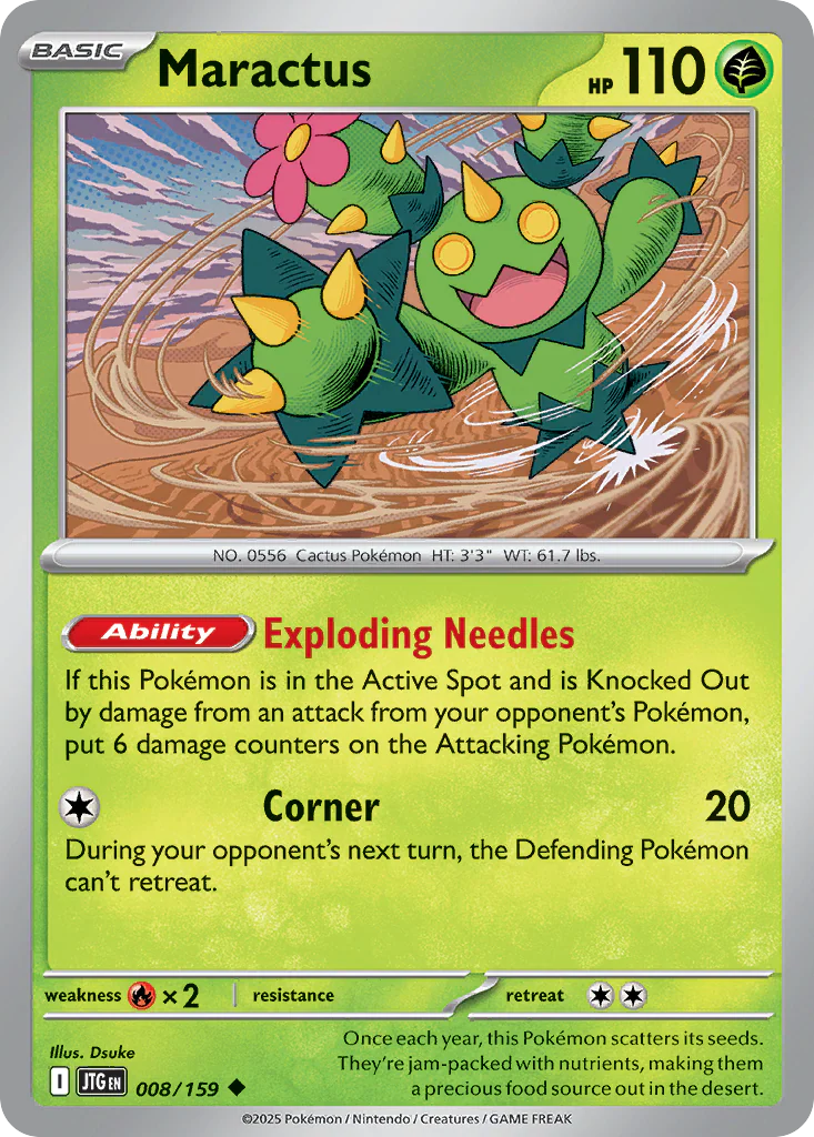 Maractus
