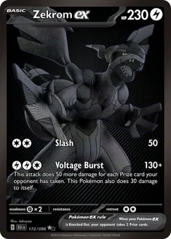 Zekrom ex
