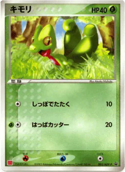 Treecko (Treecko)