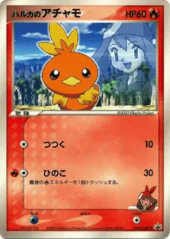 May's Torchic (May's Torchic)