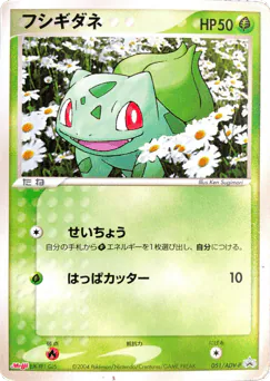 Bulbasaur (Bulbasaur)