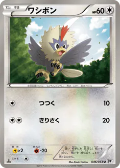 Rufflet (ワシボン)