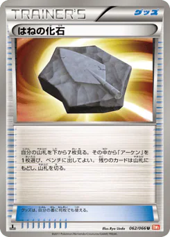 Plume Fossil (はねの化石)