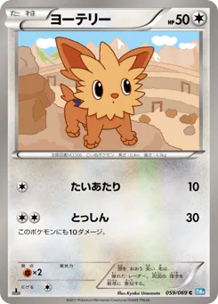 Lillipup (ヨーテリー)
