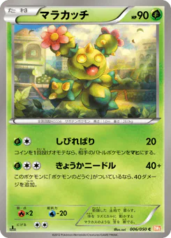 Maractus (マラカッチ)