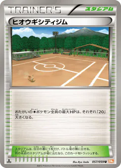 Aspertia City Gym (ヒオウギシティジム)