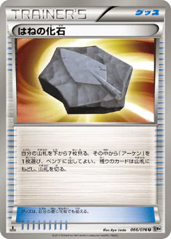 Plume Fossil (はねの化石)