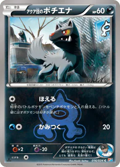 Team Aqua's Poochyena (アクア団のポチエナ)