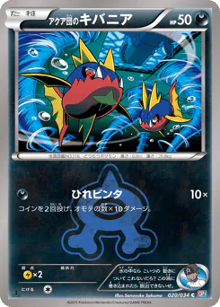 Team Aqua's Carvanha (アクア団のキバニア)