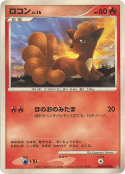 ロコン