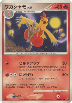 Combusken (ワカシャモ)