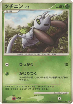 Nincada (ツチニン)