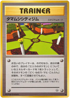 Celadon City Gym (タマムシシティジム)
